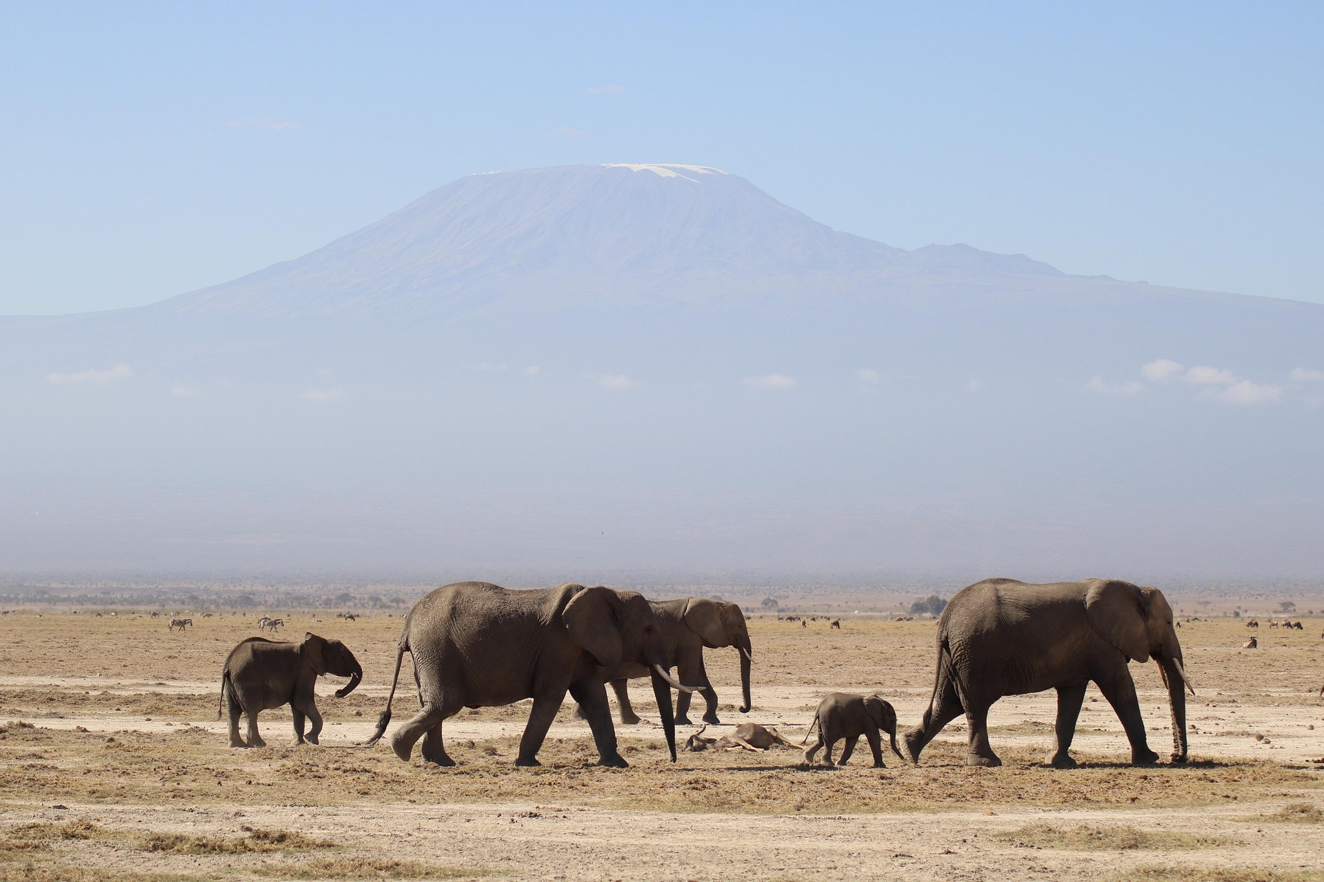 Amboseli